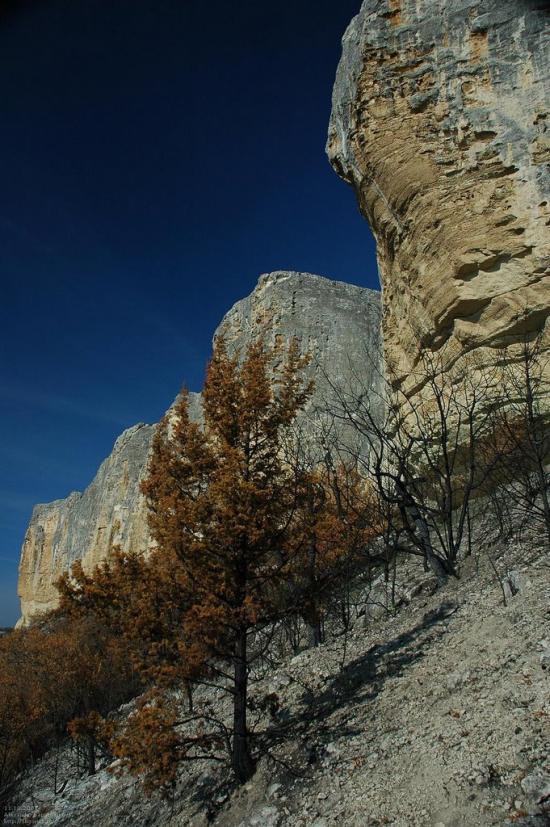 Баштанівка з panoramio.com - Баштанівка