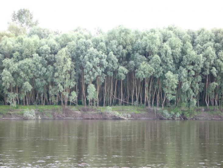 Киселівка з panoramio.com - Киселівка