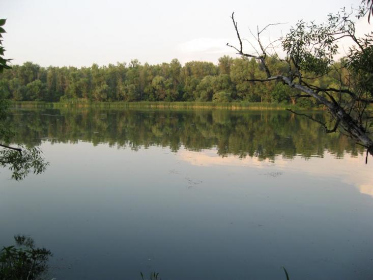 Мартове з panoramio.com - Мартово