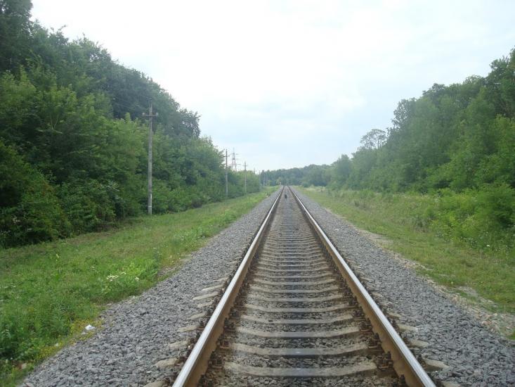 Слобідка-Гуменецька з panoramio.com - Слободка-Гуменецкая