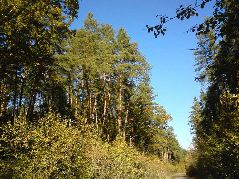 Любе село - Миролюбівка