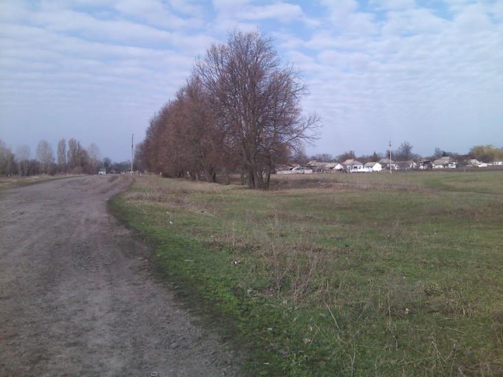 Степанівка з panoramio.com - Степановка