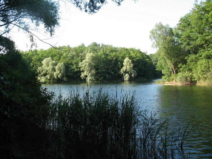 Халеп'я з panoramio.com - Халепье