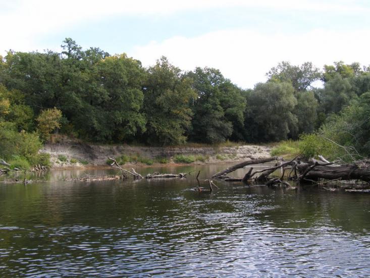 Юрки з panoramio.com - Юрки