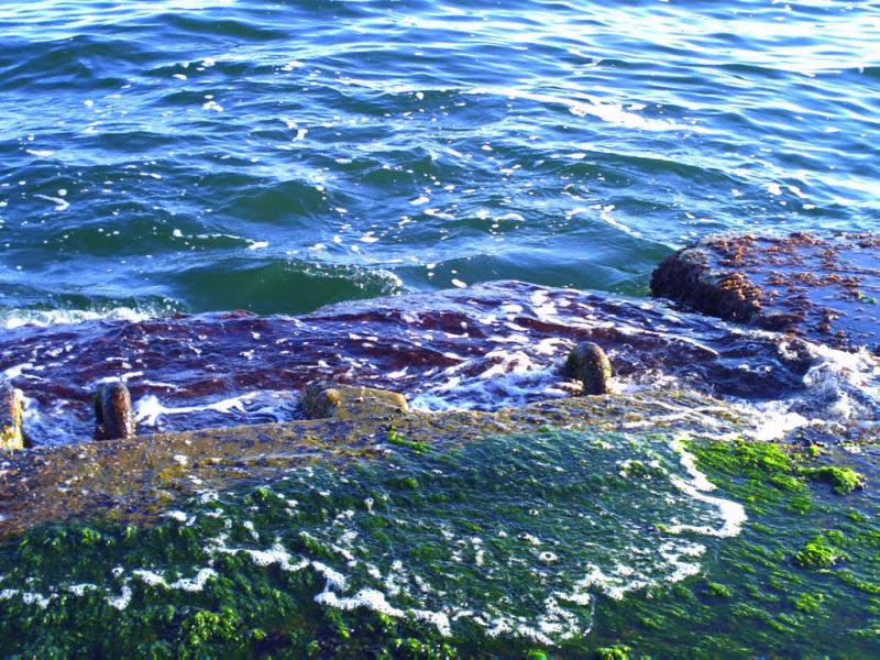 Мізікевича з panoramio.com - Мизикевича