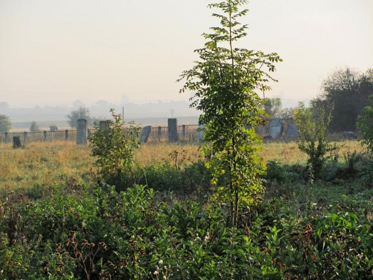 Белз з panoramio.com - Белз