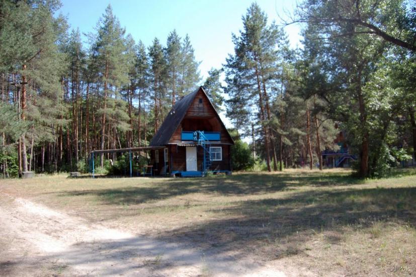 Нижнє з panoramio.com - Nyzhnye