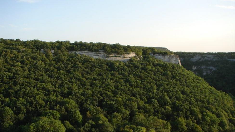 Прохладне з panoramio.com - Прохладное