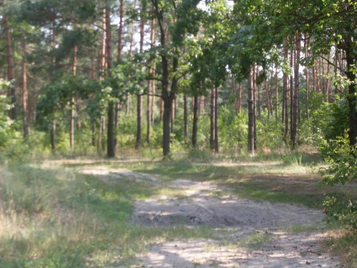 Китайгород з panoramio.com - Китайгород