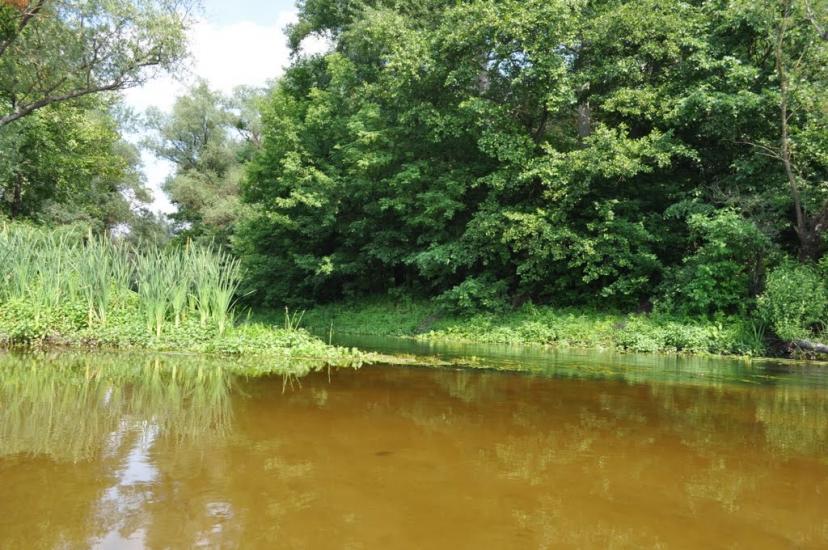 Лабурівка з panoramio.com - Лабуревка