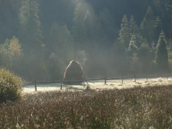 Кам'янка з panoramio.com - Каменка