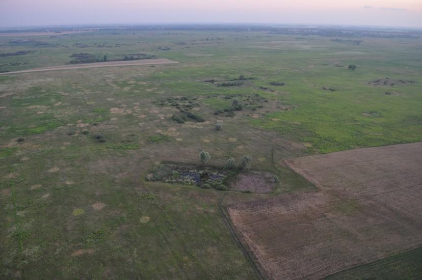 Підлісся з panoramio.com - Підлісся