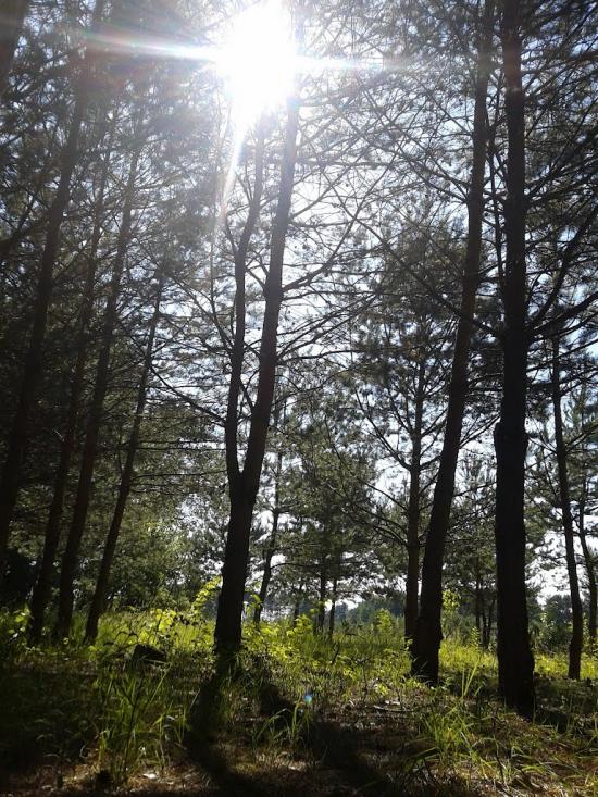 Рясне-Руське з panoramio.com - Рясное-Русское
