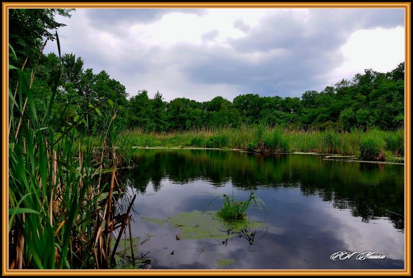 Дронівка з panoramio.com - Dronivka