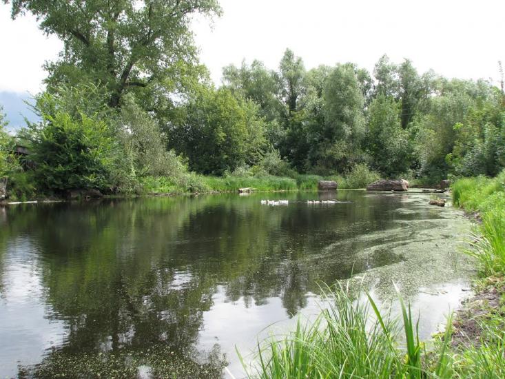 Остер з panoramio.com - Остер