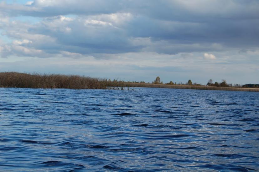 Щитинська Воля з panoramio.com - Щитинська Воля