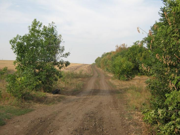 Петровеньки з panoramio.com - Петровеньки