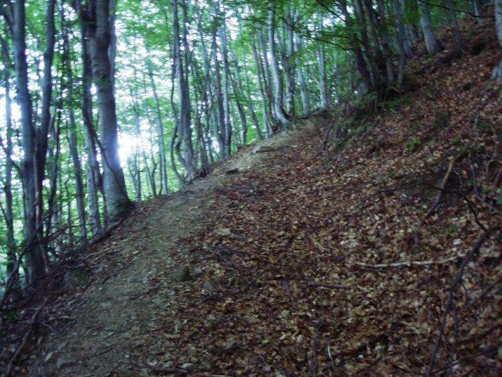 Красна з panoramio.com - Krasna