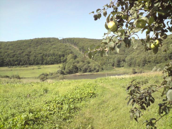 Рогачин з panoramio.com - Рогачин