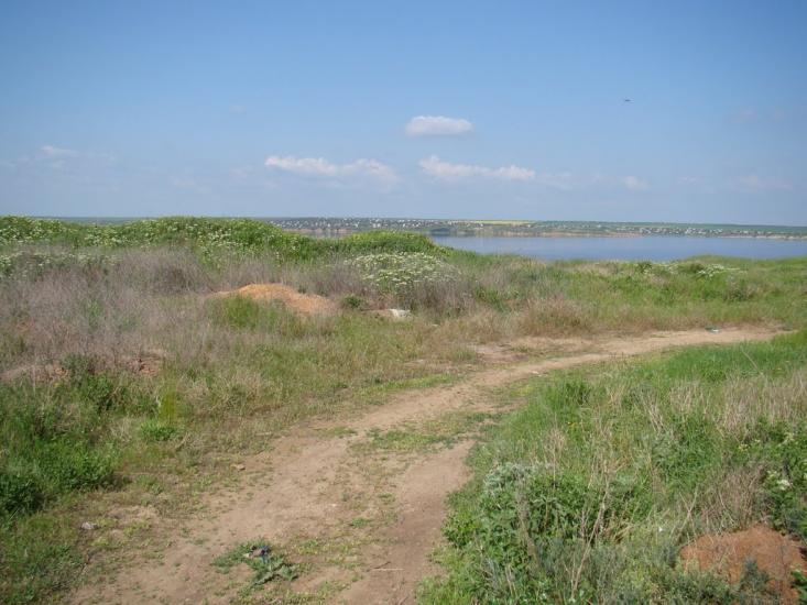 Велика Балка з panoramio.com - Великая Балка
