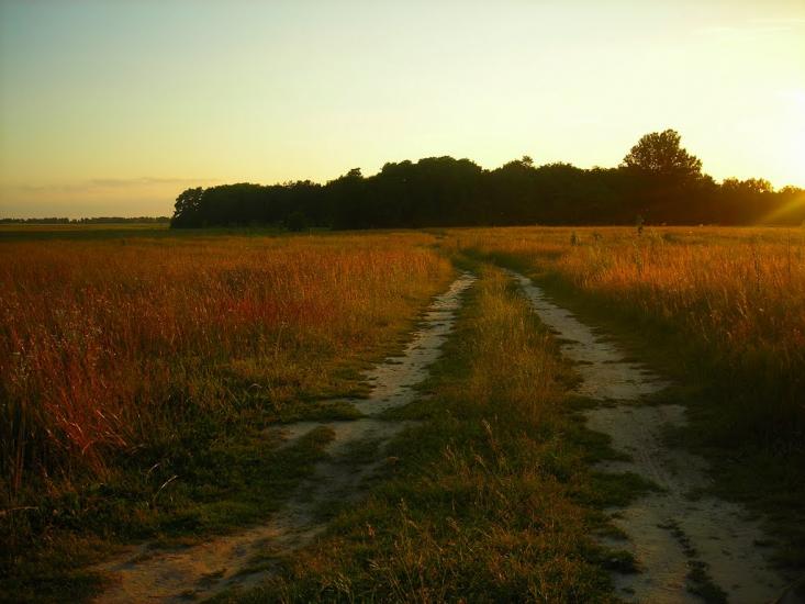Старий Білоус з panoramio.com - Старый Белоус