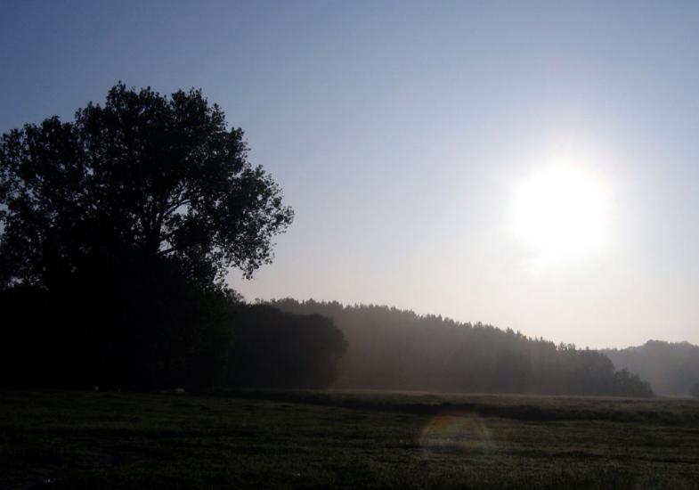Ланівці з panoramio.com - Lanivtsi