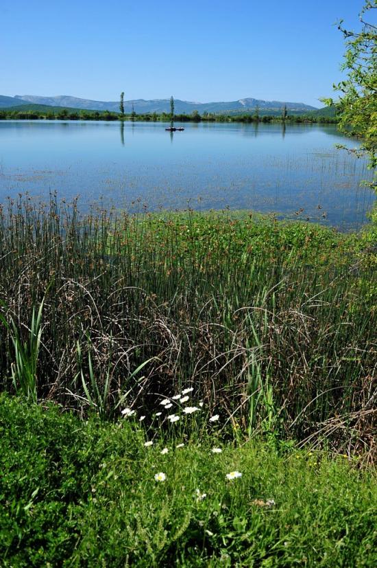 Новобобрівське з panoramio.com - Новобобровское