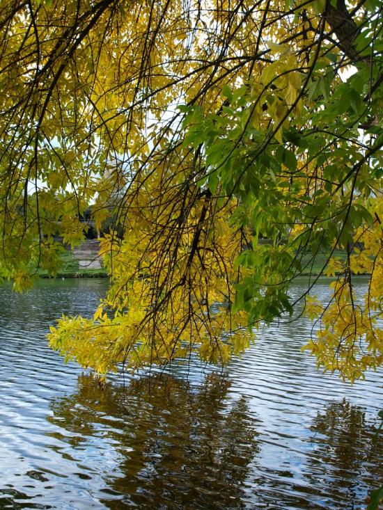Буди з panoramio.com - Budy