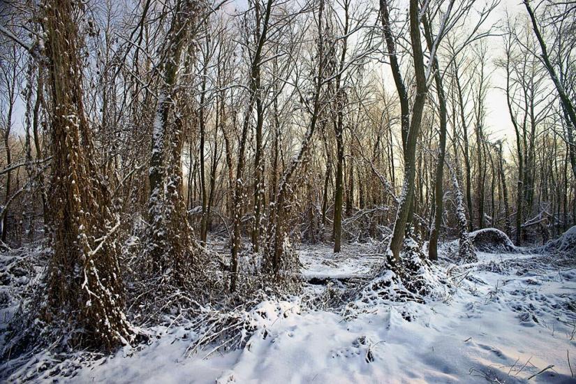 Мала Стариця з panoramio.com - Мала Стариця