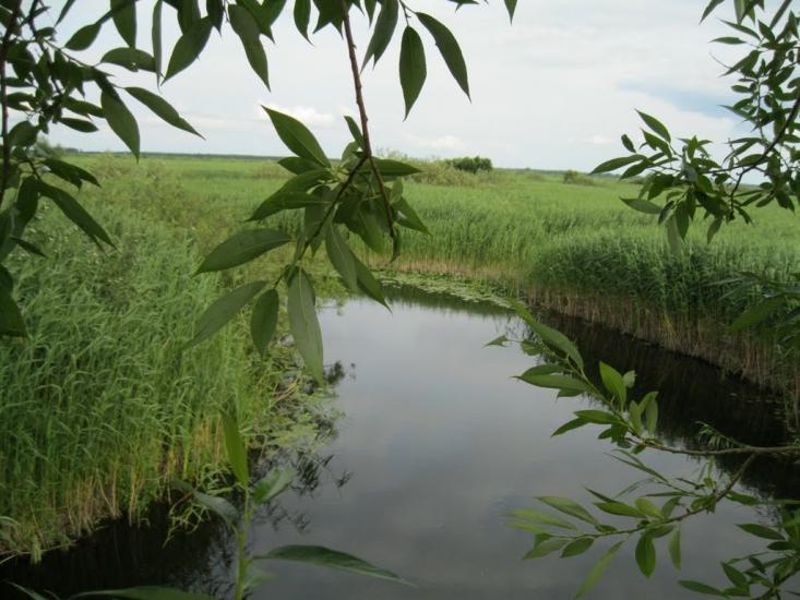 Хотешів з panoramio.com - Хотешов