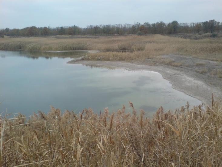 Шевченко з panoramio.com - Шевченко