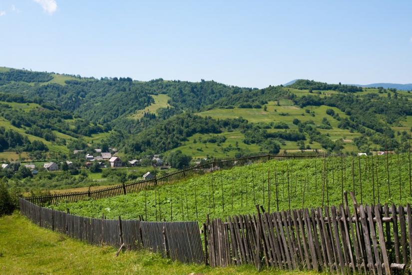 Репинне з panoramio.com - Репинне