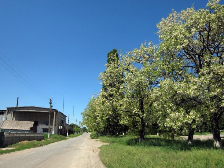 Миколаївка з panoramio.com - Николаевка