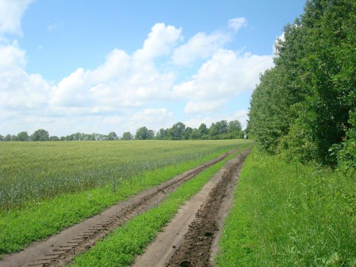 Грузевиця з panoramio.com - Грузевиця