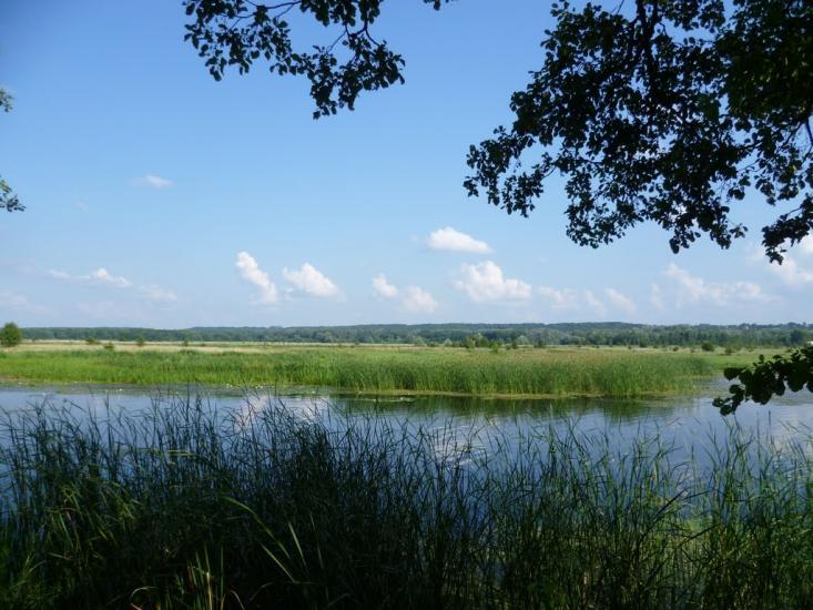 Матяшівка з panoramio.com - Матяшівка