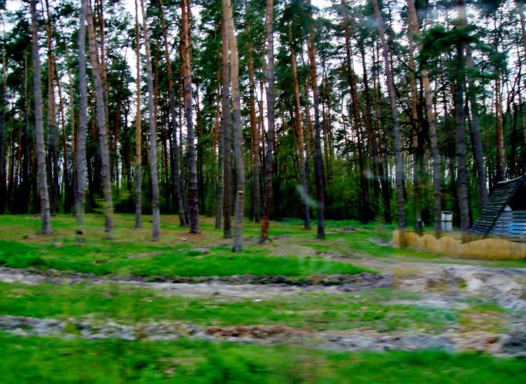Тараща з panoramio.com - Тараща