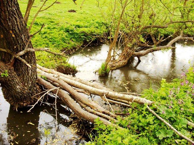 Митків з panoramio.com - Мытков