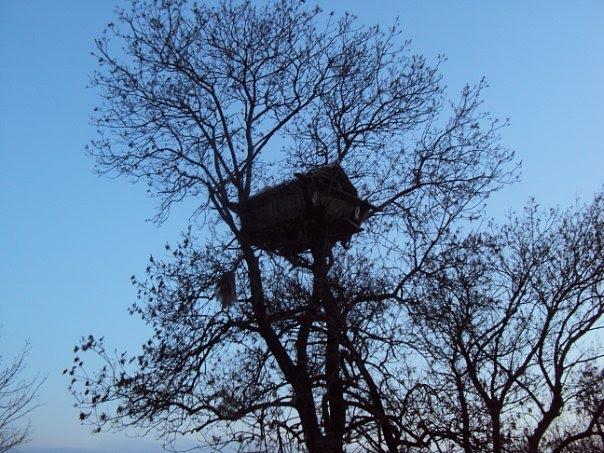 Любопіль з panoramio.com - Любопіль