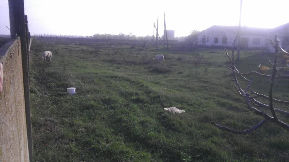 Полігон з panoramio.com - Полигон