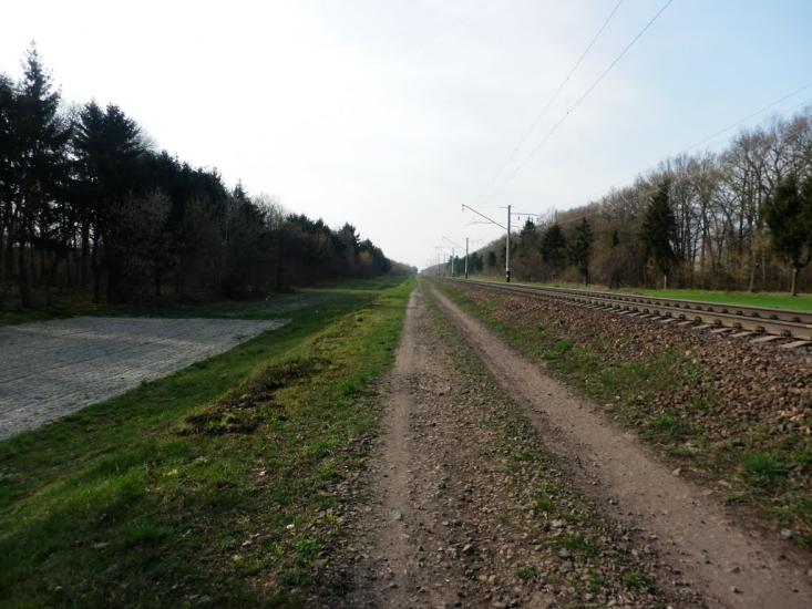 Рожище з panoramio.com - Рожище