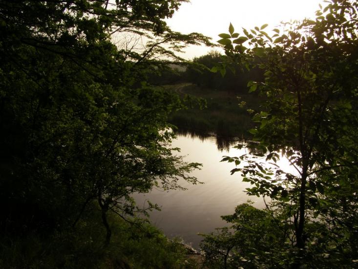 Новопилипівка з panoramio.com - Новопилиповка