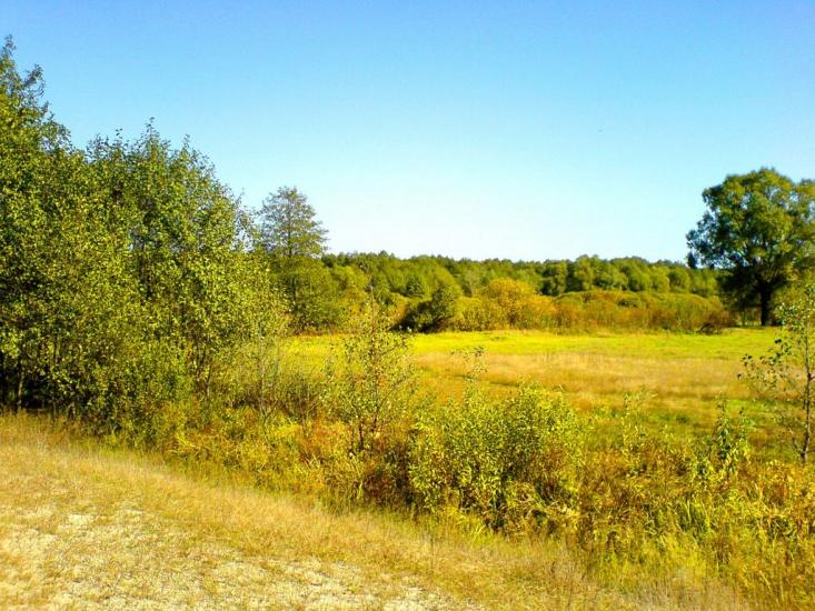 Хорошеве з panoramio.com - Хорошево