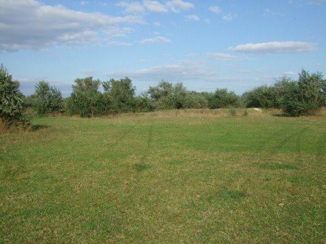 Солонці з panoramio.com - Солонцы