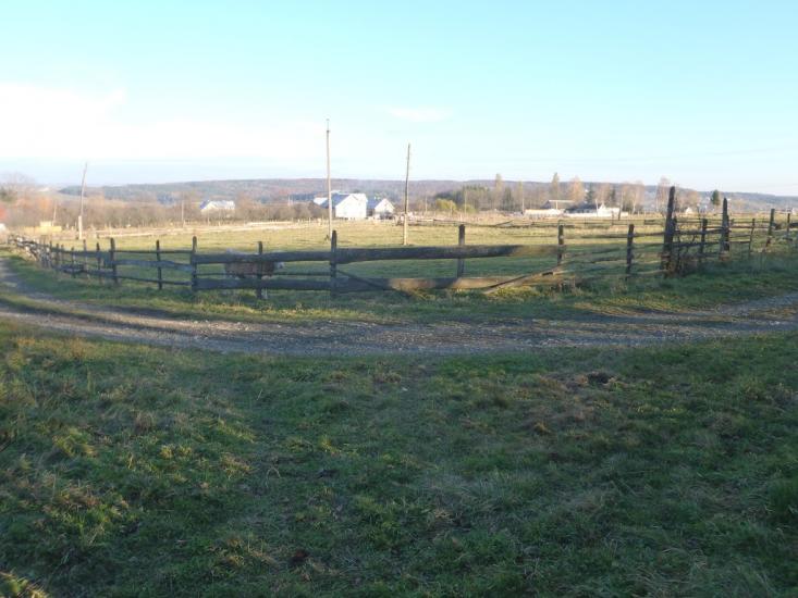 Їжівці з panoramio.com - Yizhivtsi