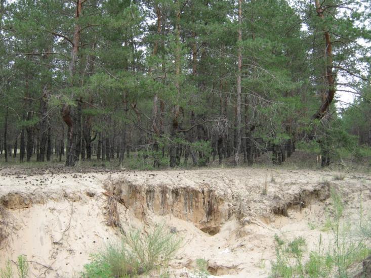 Щастя з panoramio.com - Счастье