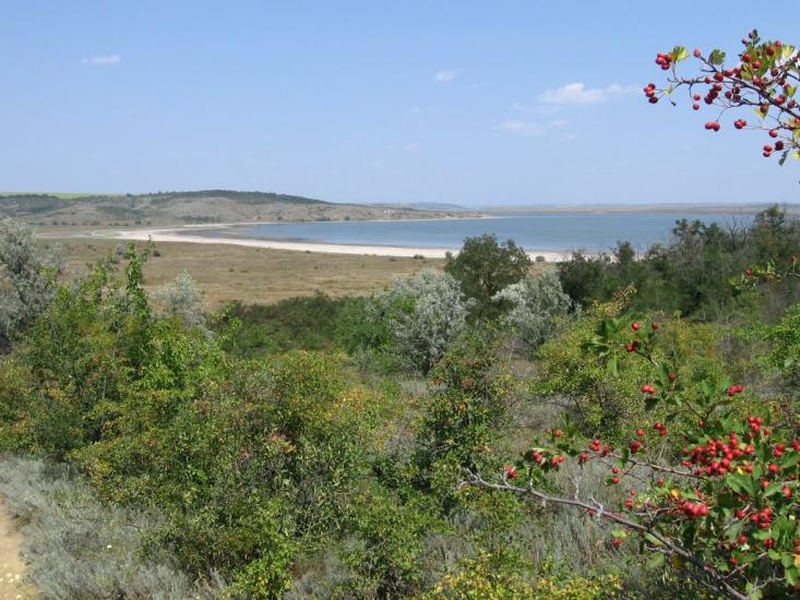 Калинівка з panoramio.com - Калиновка