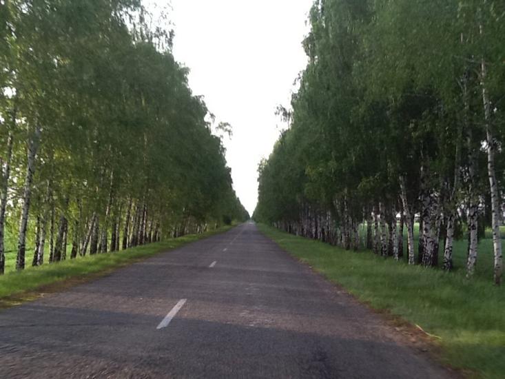 Панфили з panoramio.com - Панфили