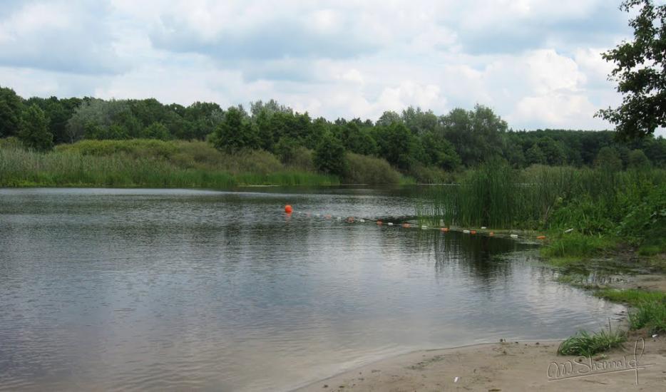 Верхоли з panoramio.com - Verkholy
