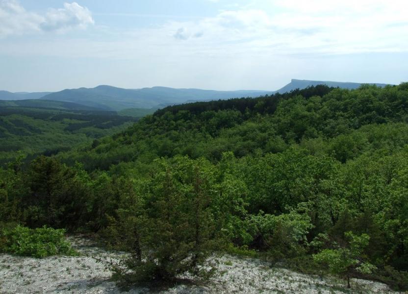 Баштанівка з panoramio.com - Баштанівка