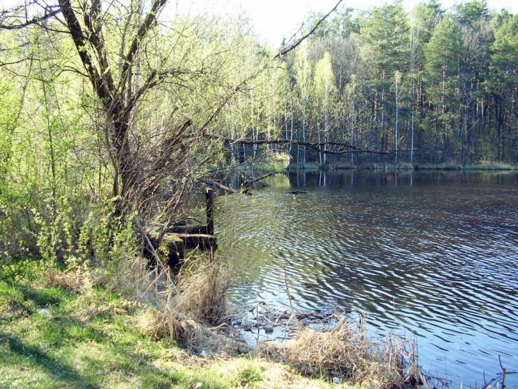 Лугини з panoramio.com - Лугины
